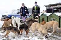 Belediye, Karda Sokak Hayvanlarını Unutmadı Haberi