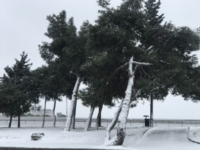 Beylikdüzü'nde Kar Yağışı Devam Ediyor