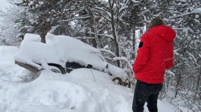 Faciayı Ağaç Engelledi