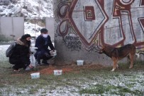 Gaziosmanpaşa'da Sokak Hayvanları Karda Sahipsiz Kalmadı Haberi