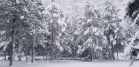 'Sakin Şehir' Taraklı'da Kar Kalınlığı 45 Santimi Buldu