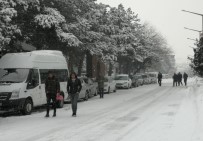 Ahlat'ta Kar Yağışı Haberi