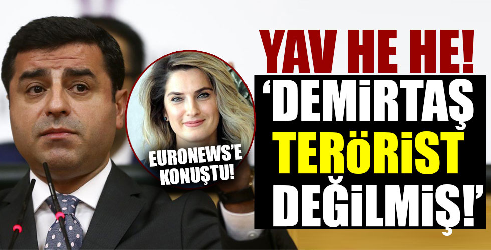 Avrupa kanalı Euronews terörist Selahattin Demirtaş'ın eşiyle röportaj yaptı!