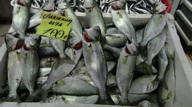 Çanakkale'de Balık Fiyatları El Yakıyor
