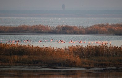 Doğa Harikası Lagün, Hem Flamingoları Hem De Fotoğrafseverleri Ağırlıyor