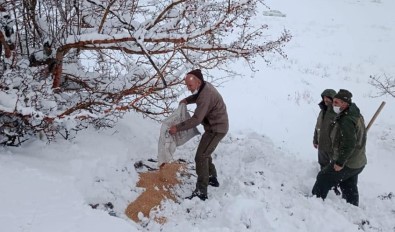 Elazığ'da Karla Kaplı Bölgelerde Yaban Hayatına Yem Desteği