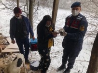 Karda Mahsur Kalan Köpeklerin İmdadına Jandarma Yetişti Haberi
