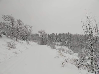 Kastamonu'da Köylerin Yarısının Yolu Kar Yağışı Nedeniyle Kapandı