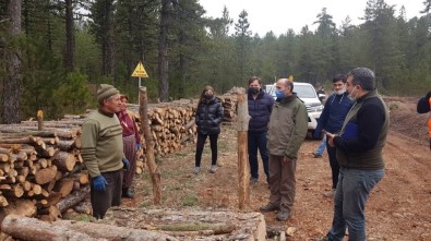 Müdür Keskin Açıklaması 'Sağlıklı Ve Dayanıklı Ormanlar Oluşturmak İçin Çalışıyoruz'