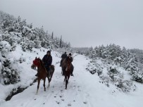 Sındırgı'da Kar Keyfini Atlarla Sürdüler Haberi