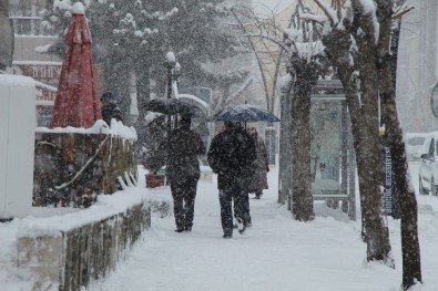 Bingöl'de Kar Esareti Başladı, 281 Köy Yolu Ulaşıma Kapandı