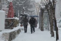 Bingöl'de Kar Esareti Başladı, 281 Köy Yolu Ulaşıma Kapandı Haberi