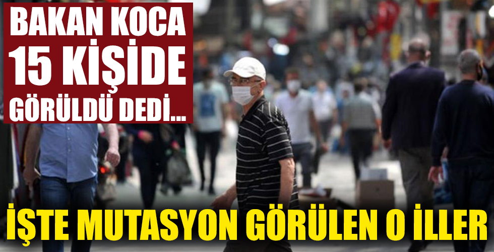 İşte Türkiye'de mutasyonlu koronavirüsün görüldüğü 2 il!