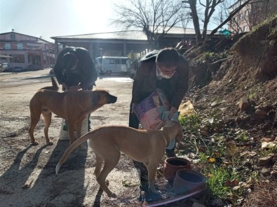 Karacasu'da Başkan İnal Can Dostları Unutmadı