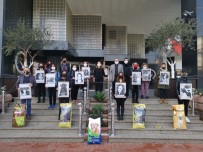 Nazilli'de Hayvanseverler Kadına Şiddete Dikkat Çekti