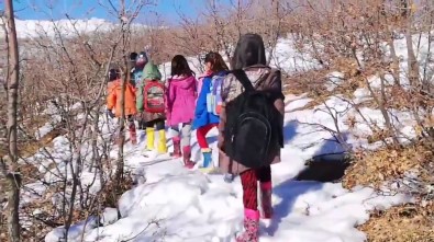 Siirt'te Köy Öğrencileri EBA'ya Girmek İçin -10 Derecede Saatlerce Yürüyerek Şebeke Aradı