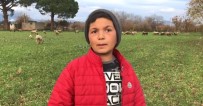 12 Yaşındaki Fenomen Çobanı Milyonlar Takip Ediyor Haberi