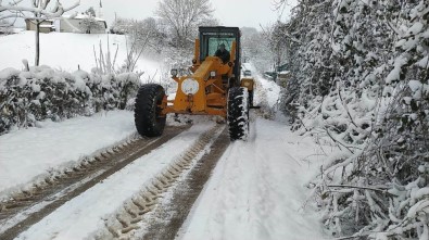 Altınova'da Karla Mücadele Devam Ediyor