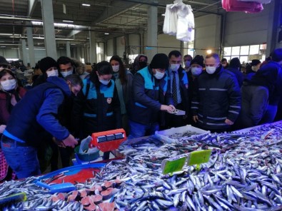 Bozüyük'te Balık Satıcılarına Yönelik Denetim Yapıldı