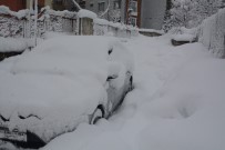 Hakkari'de Kar Manzaraları