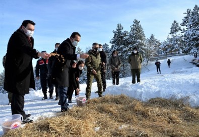Küçükelmalı Tabiat Parkı'nda Yaban Hayvanları İçin Yemleme Çalışmaları Yapıldı