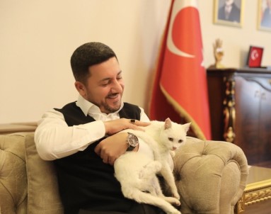Nevşehir Belediye Başkanı Arı, Bir Ayağı Olmayan Sokak Kedisini Sahiplendi