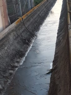 Adana'da Kanaletler Buz Tuttu