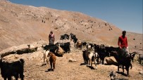 Bolkar Dağlarının Konargöçer Yörüklerinin Yaşamı Belgesel Oldu Haberi