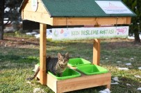 Çayırova'da Sokak Hayvanlarına Sıcak Yuva Haberi