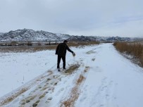 Iğdır'da Kar Yağışı Ve Aşırı Soğuktan Dolayı Yaban Hayvanları İçin Yem Bırakıldı