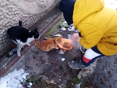 Karlı Havada Sokak Hayvanlarını Minik Elleriyle Beslediler