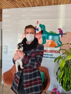 Körfez'de Tedavi Edilen Hayvanlar, Yeni Yuvalarına Kavuşuyor