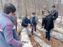 Orman İşletmesi Mustafakemalpaşa'ya Nefes Oldu Haberi