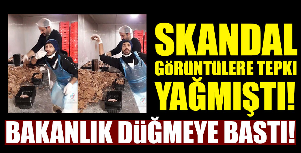 Skandal görüntülerle ilgili Bakanlık düğmeye bastı!