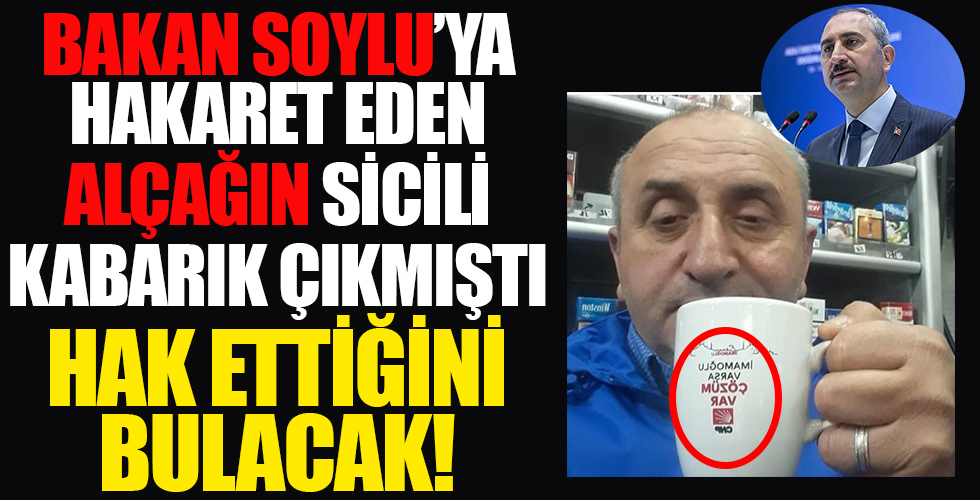 Bakan Gül'den Soylu'ya yapılan hakaretle ilgili flaş açıklama: Hak ettiği cezayı bulacağına inanıyorum