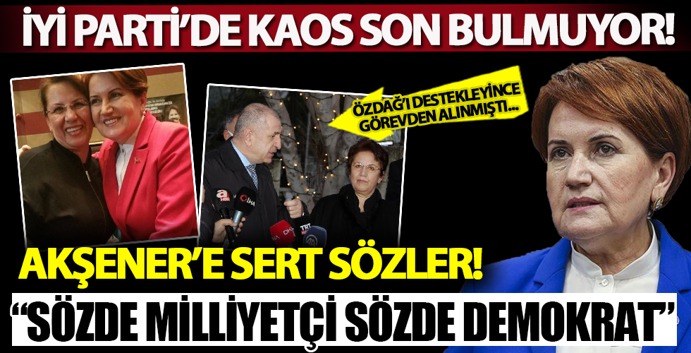 Ümit Özdağ'ı desteklediği için görevden alınmıştı! İncilay Gergin Şekerdağ'dan İYİ Parti'ye zehir zemberek sözler: Vaatleri süslü cümlelerden ibaret!