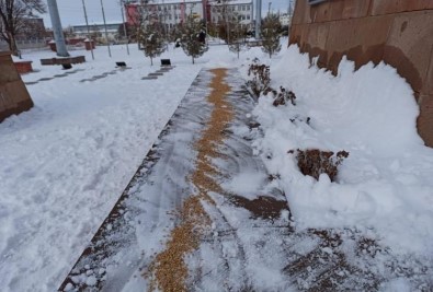 Iğdır'da Kar Yağışının Ardından Yaban Hayvanları İçin Doğaya Yem Bırakıldı