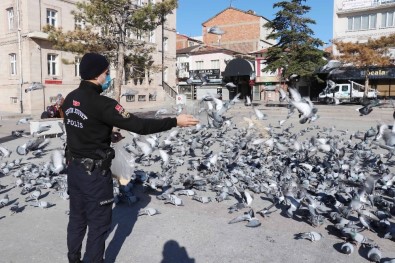 Polisin Yemlediği Güvercinler Görsel Şölen Oluşturdu