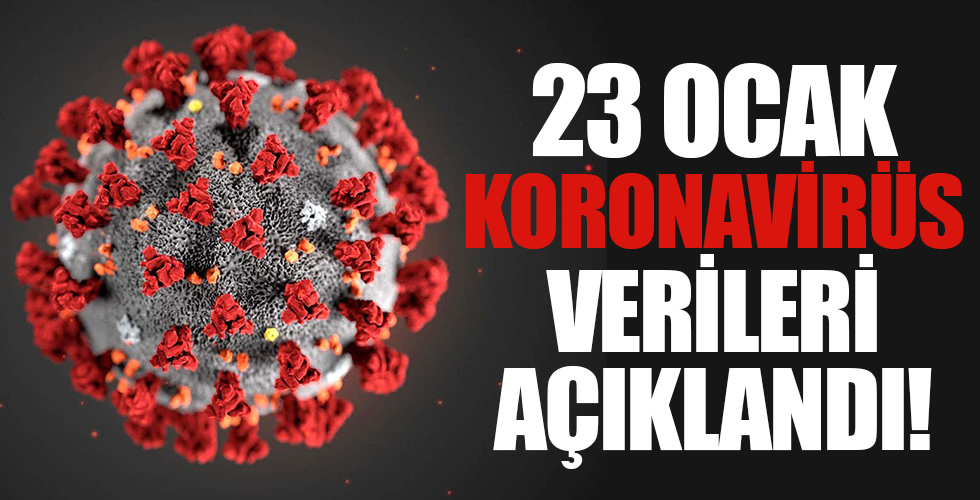 Sağlık Bakanlığı 23 Ocak koronavirüs vaka sayılarını duyurdu