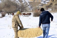 Erzincan'da Yılkı Atları İçin Yem Bırakıldı Haberi