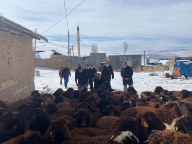 Bayburt'ta 'Köyümde Yaşamak İçin Bir Sürü Nedenim Var Projesi' Kapsamında Çiftçilere Koyunları Teslim Edildi