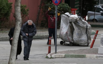 Bursa'da Lodos Hayatı Olumsuz Etkiledi