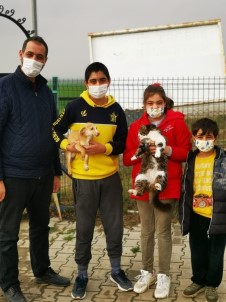 Ergene'deki Sevimli Dostları Belediye Sahiplendirmeye Devam Ediyor