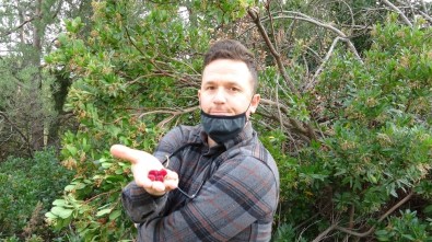 (Özel) Ormanda Bedava Meyve Keyfi