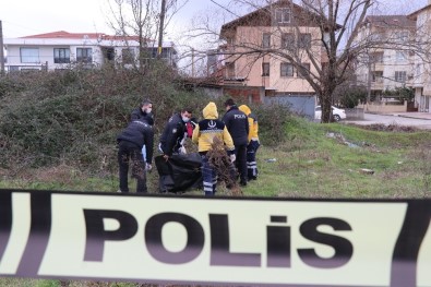 Sakarya'da Boş Bir Arazide Erkek Cesedi Bulundu