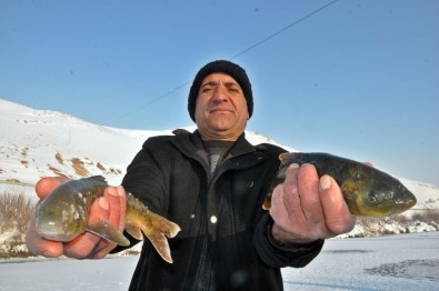 Yüksekova'da Buz Tutan Derede 'Eskimo Usulü' Balık Avı