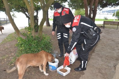Sinop Polisinden Can Dostlara Yiyecek Yardımı