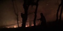 Amasya'da Samanlıkta Çıkan Yangın Ormanlık Alana Sıçradı Haberi