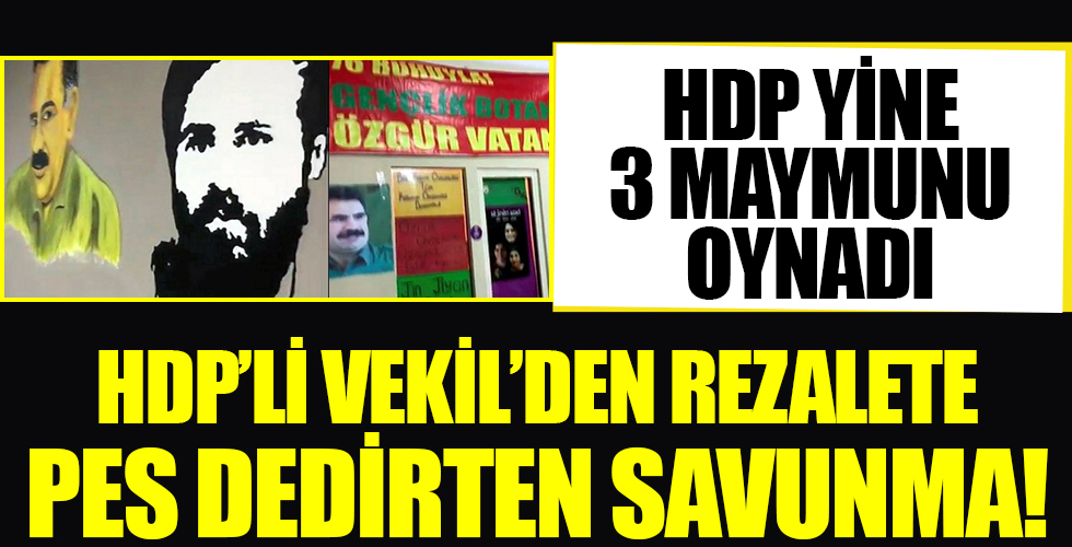 HDP Esenyurt İlçe Başkanlığı'ndaki rezalet görüntülere 'Pes' dedirten savunma