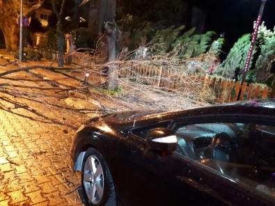 Manisa'da Fırtına Ağaçları Devirdi Çatıları Uçurdu